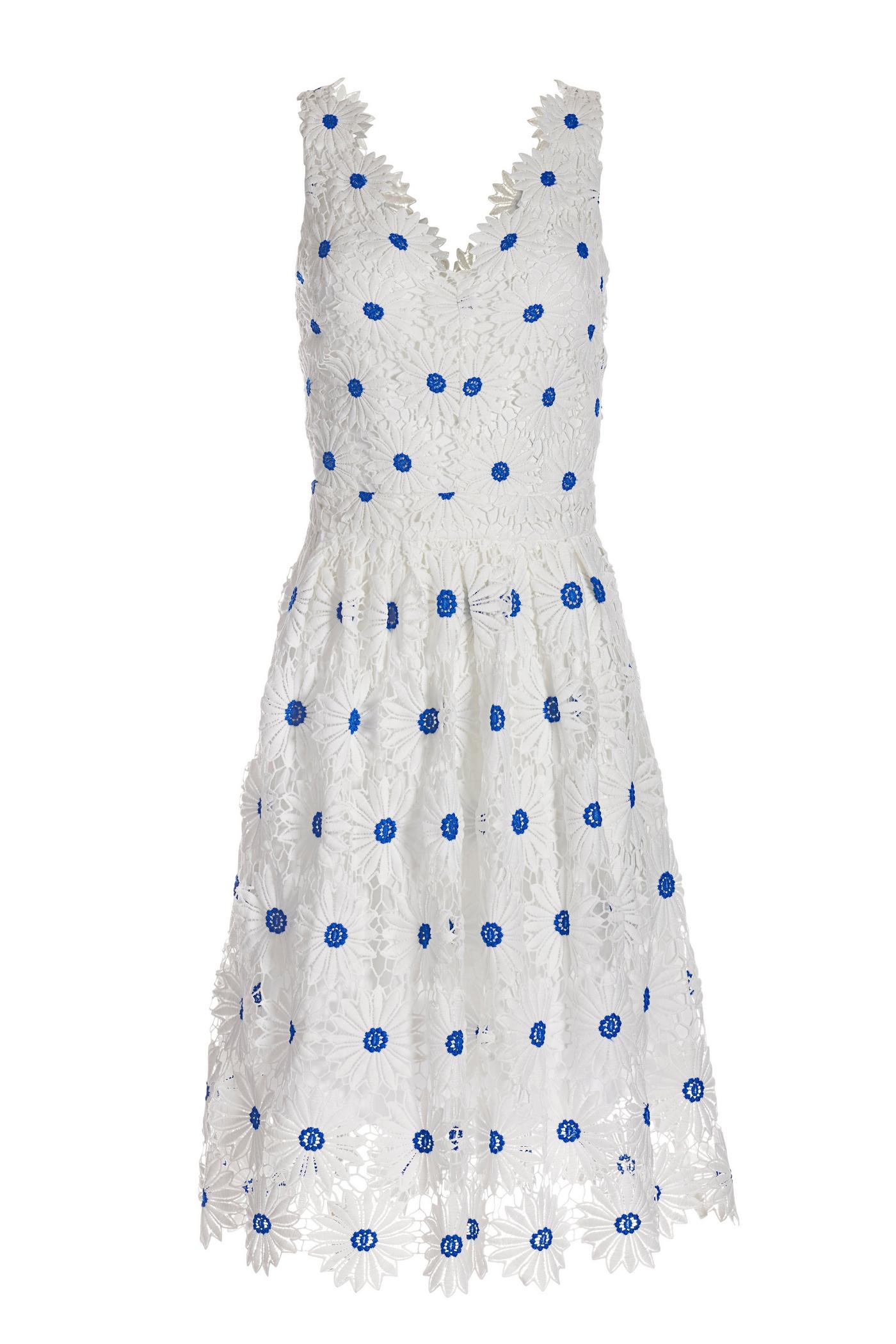 slim fit dress slacks Blue Border Print Fit and Flare Knee Length Dress main image 1