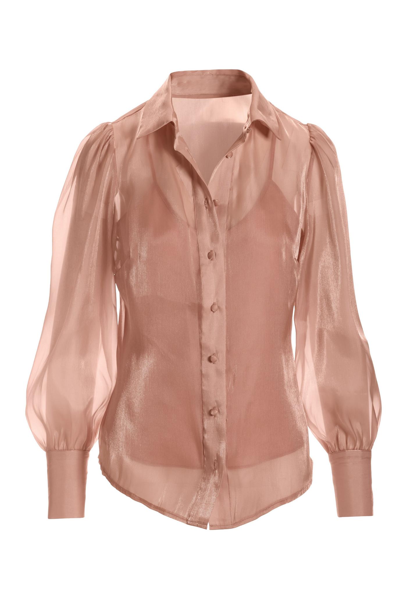 Organza Victoria Chic Drama Sleeve Shirt - Blush | Boston Proper