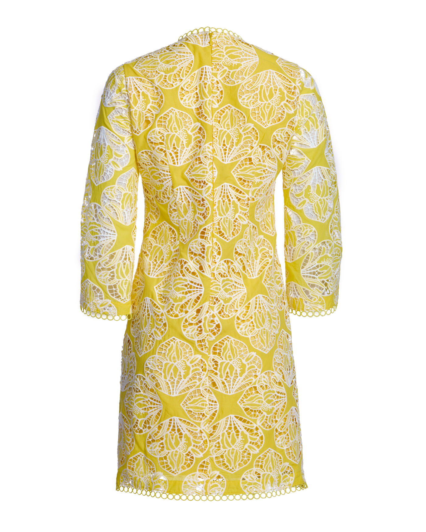 Two Tone Lace Three Quarter Sleeve Dress Lemon Drop