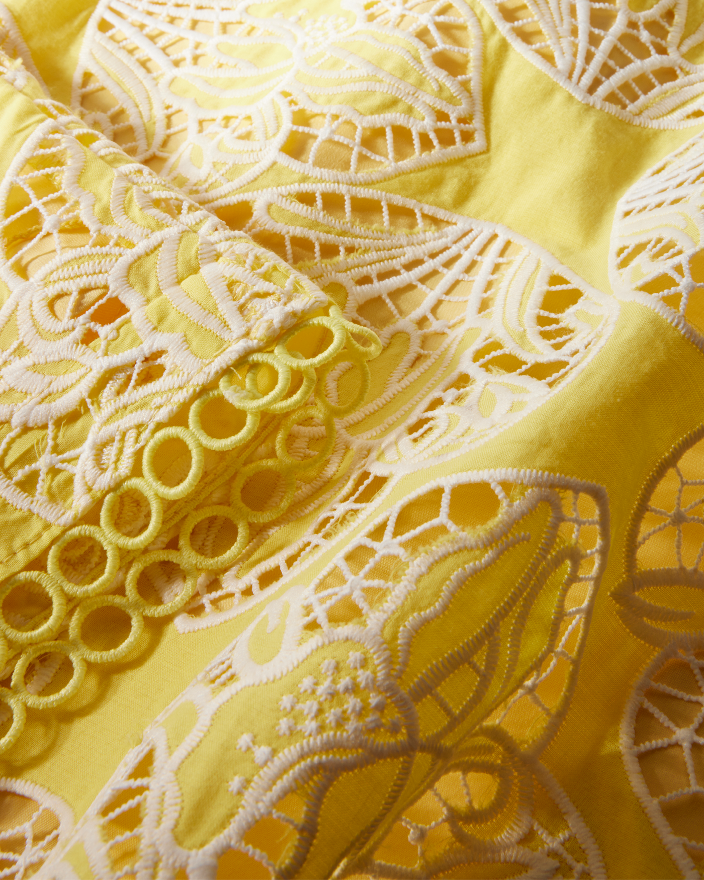 Two Tone Lace Three Quarter Sleeve Dress Lemon Drop