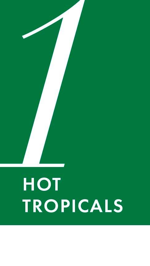 white text on dark green background: hot tropicals.