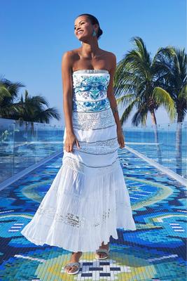 Embroidered And Embellished Lace-Inset Maxi Dress