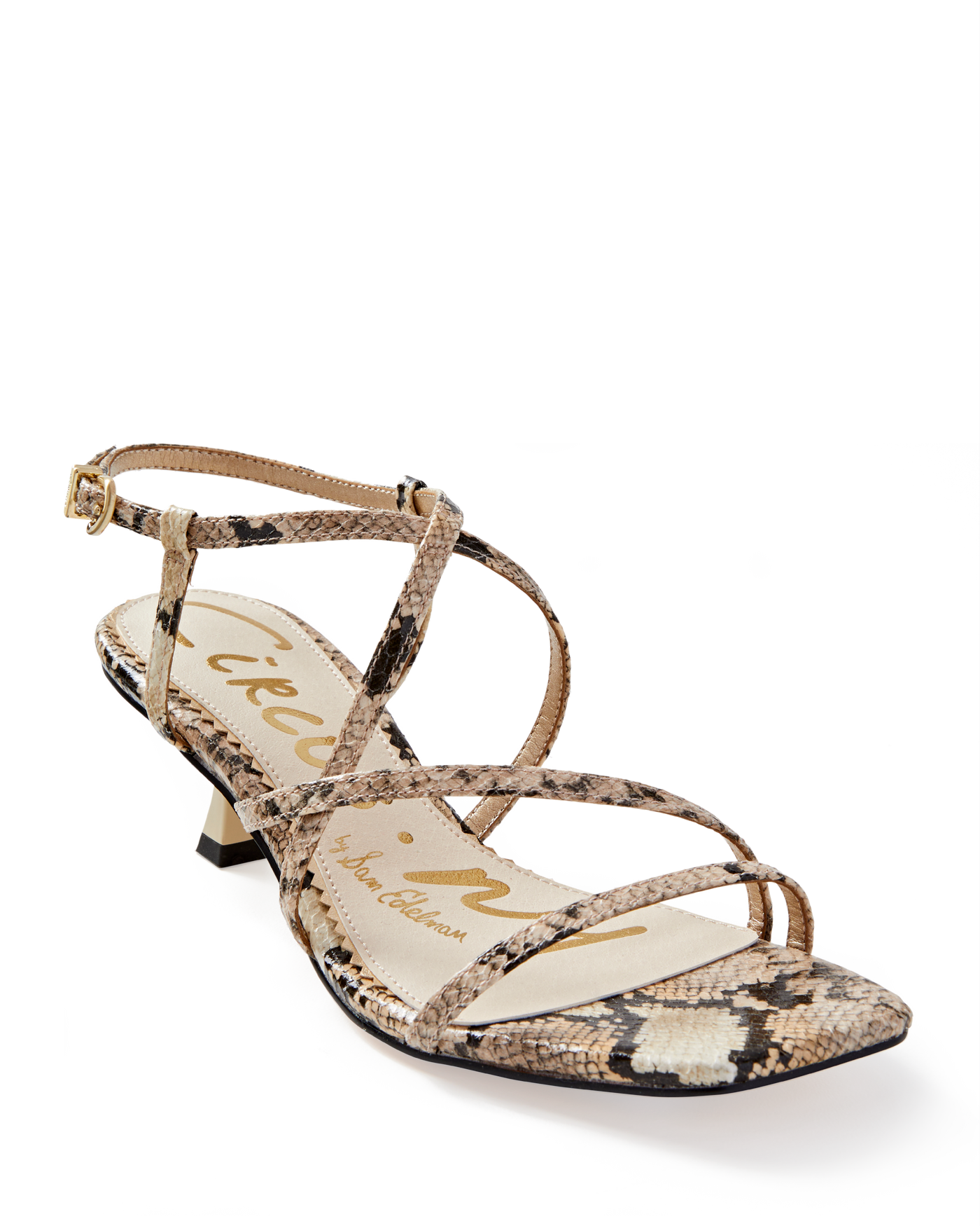 Circus by Sam Edelman Strappy Kitten Heel Black Multi