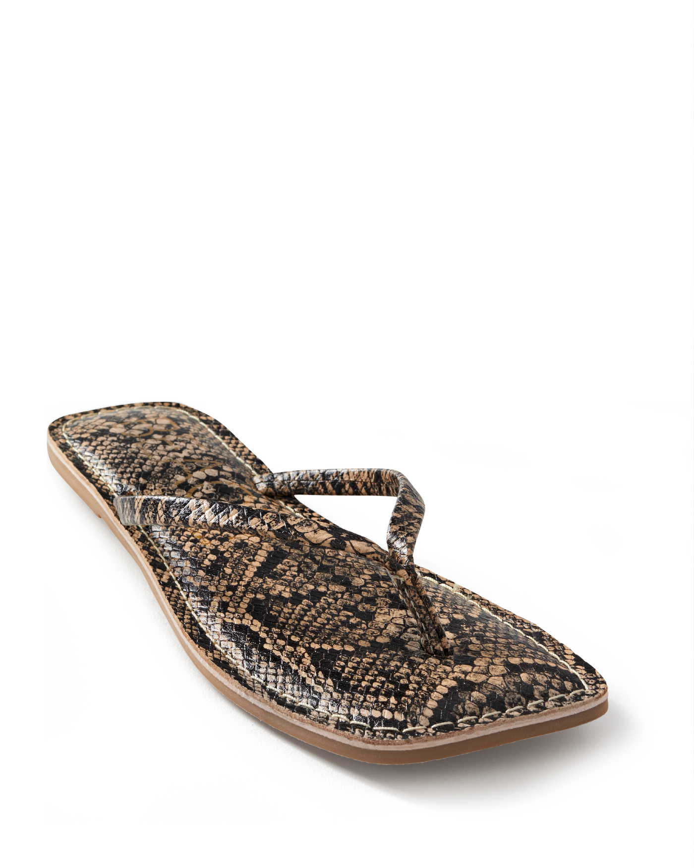 Beach by Matisse Basic Pool Slide Snake Multi
